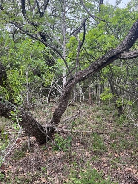 148 Helemano, 6096833, Bastrop, Lot,  for sale, Dave Kapur, Full Circle Real Estate