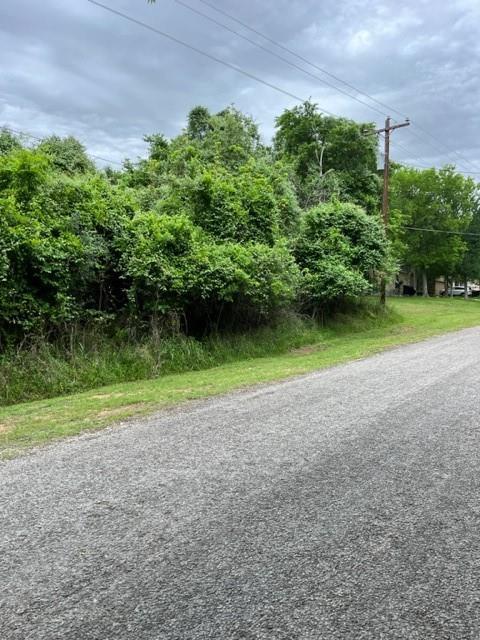 Lot 1099 Moku Manu, 2008395, Bastrop, Lot,  for sale, Dave Kapur, Full Circle Real Estate