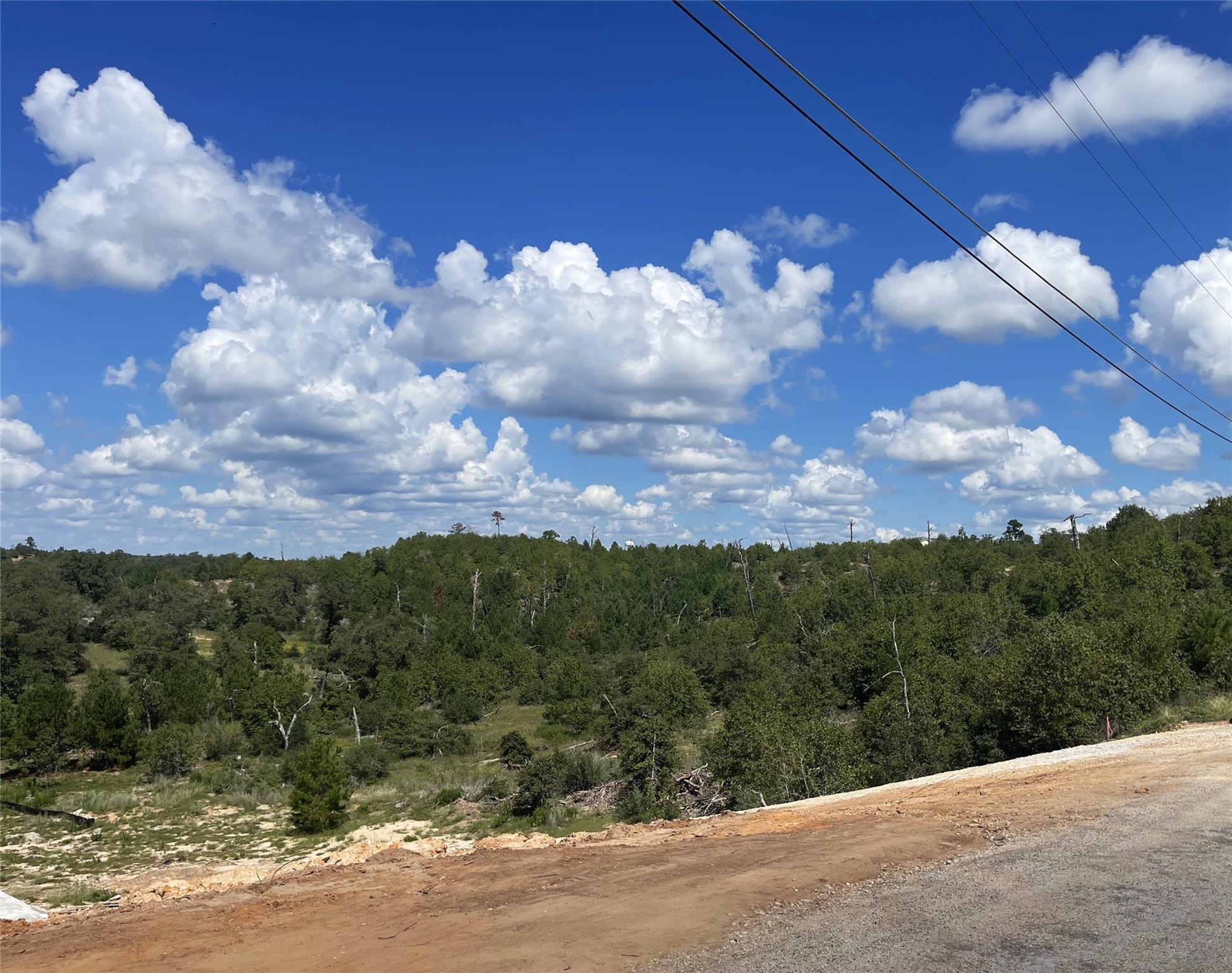 Lot 12 River Forest, 9669570, Bastrop, Lot,  for sale, Dave Kapur, Full Circle Real Estate