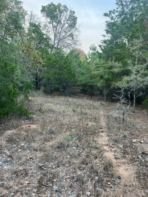 171 Lamaloa, 7593523, Bastrop, Lot,  for sale, Dave Kapur, Full Circle Real Estate