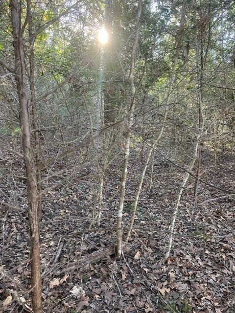 Lot 632 Hilea, 6083097, Bastrop, Lot,  for sale, Dave Kapur, Full Circle Real Estate