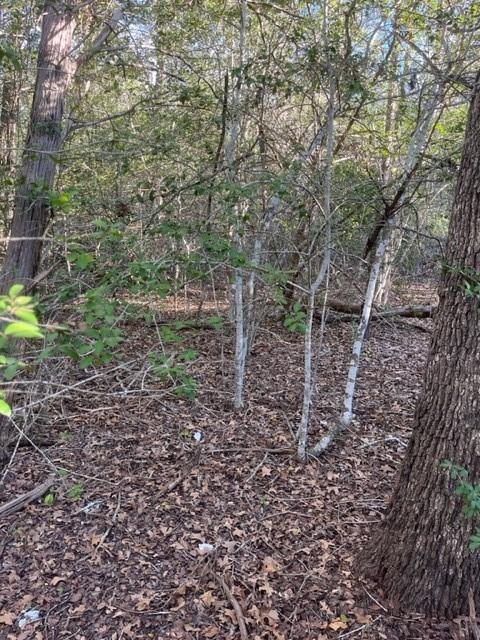 Lot 631 Hilea, 9523394, Bastrop, Lot,  for sale, Dave Kapur, Full Circle Real Estate