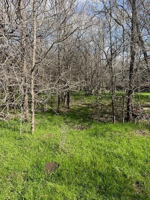 130 Pauwela, 2850157, Bastrop, Lot,  for sale, Dave Kapur, Full Circle Real Estate