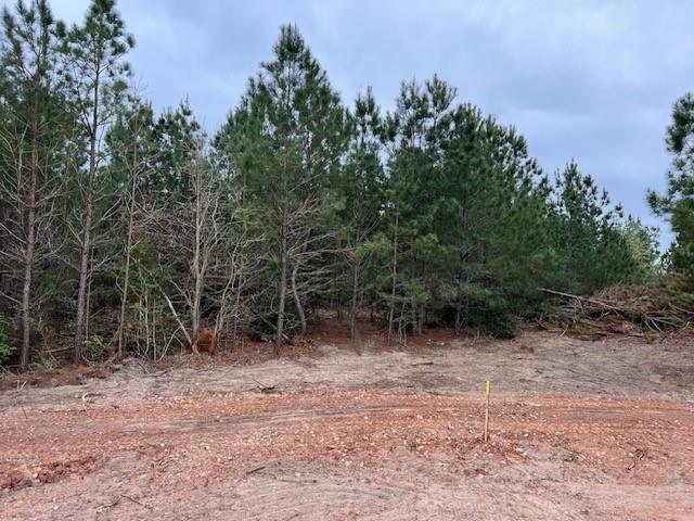 Lot 5 Autumn, 3414621, Bastrop, Lot,  for sale, Dave Kapur, Full Circle Real Estate