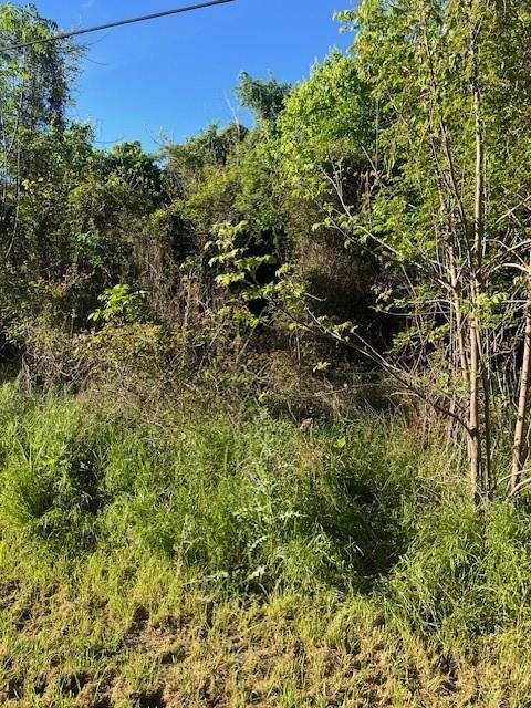 171 Kahana, 6934187, Bastrop, Lot,  for sale, Dave Kapur, Full Circle Real Estate