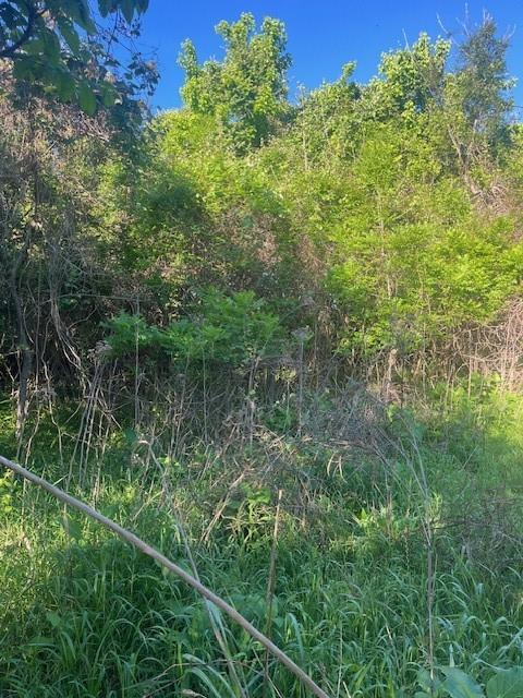 167 Kahana, 6472721, Bastrop, Lot,  for sale, Dave Kapur, Full Circle Real Estate