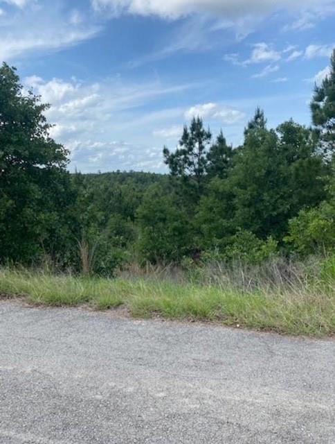 Lot 4 Kainalu, 2256103, Bastrop, Lot,  for sale, Dave Kapur, Full Circle Real Estate