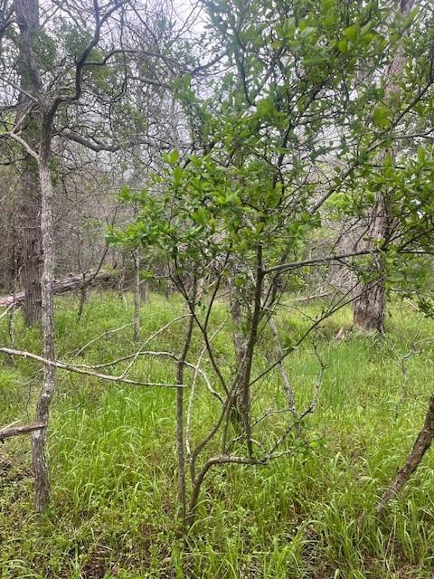 Lot 628 Hilea, 1761717, Bastrop, Lot,  for sale, Dave Kapur, Full Circle Real Estate