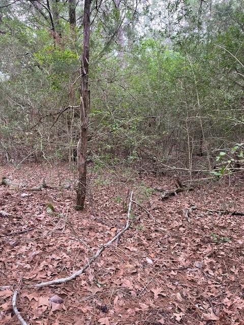 Lot 358 Wainee, 2407213, Bastrop, Lot,  for sale, Dave Kapur, Full Circle Real Estate