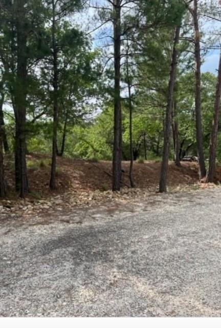 Lot 1114 Kaohikaipu, 5329546, Bastrop, Lot,  for sale, Dave Kapur, Full Circle Real Estate