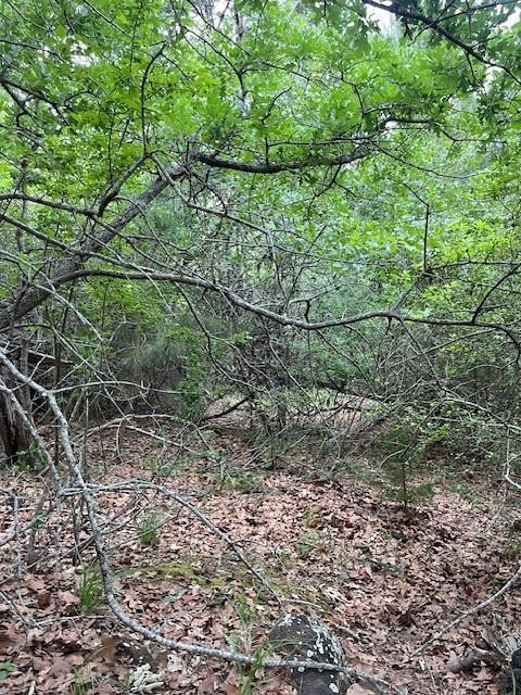 Lot 1603 Ulupau, 2571531, Bastrop, Lot,  for sale, Dave Kapur, Full Circle Real Estate