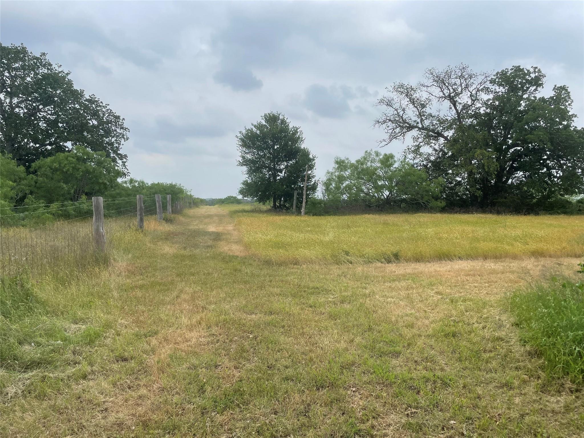 TBD FM 2104, 6489181, Paige, Lot,  for sale, Dave Kapur, Full Circle Real Estate