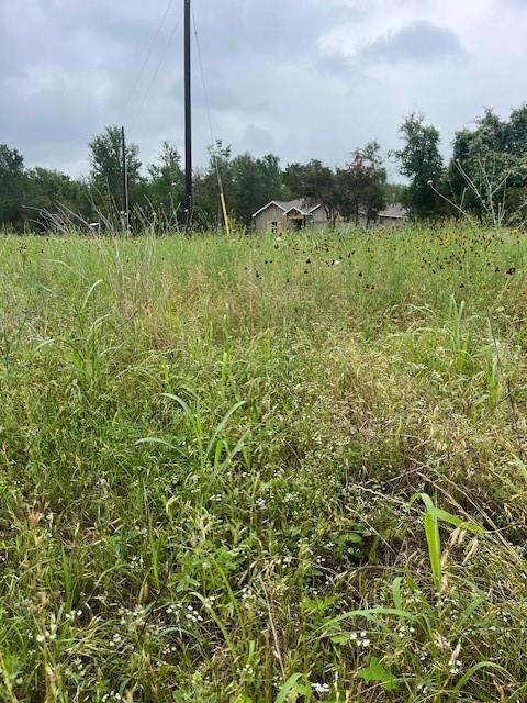 Lot 442 Pauwela, 3207242, Bastrop, Lot,  for sale, Dave Kapur, Full Circle Real Estate