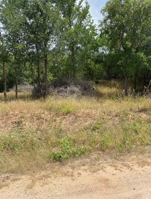 108 Kikipua, 1656667, Bastrop, Lot,  for sale, Dave Kapur, Full Circle Real Estate