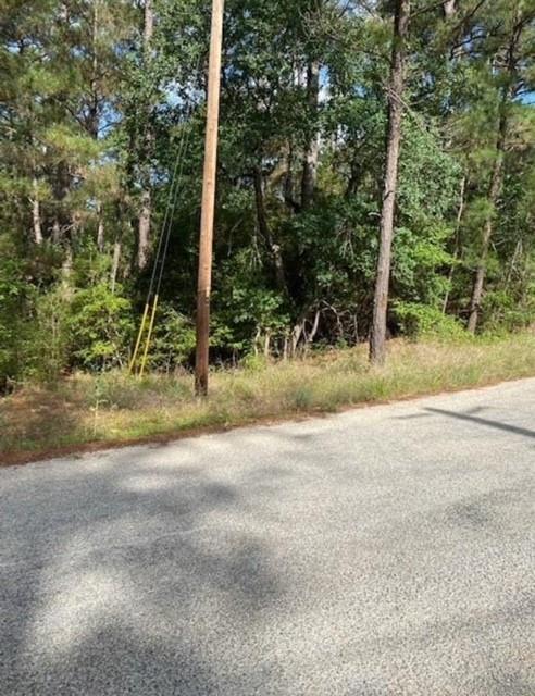 Lot 93 Papawai, 7110550, Bastrop, Lot,  for sale, Dave Kapur, Full Circle Real Estate