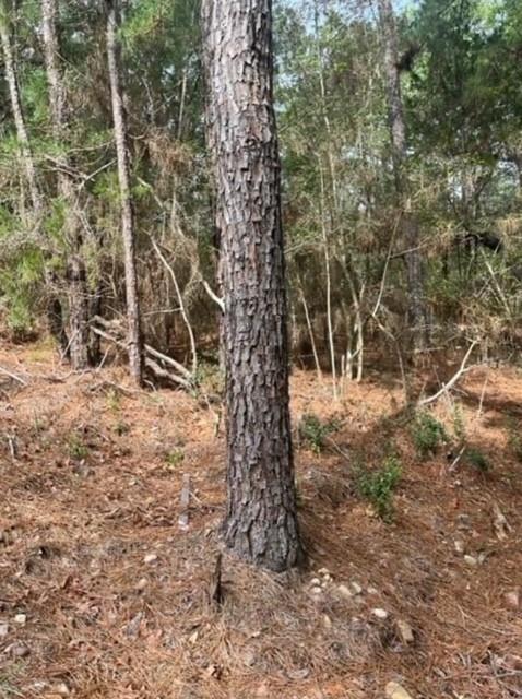 Lot 345 Wainee, 3481112, Bastrop, Lot,  for sale, Dave Kapur, Full Circle Real Estate