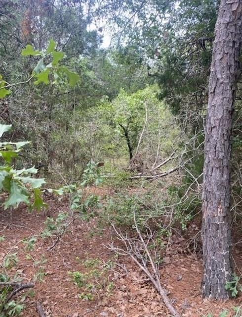 104 Mokuauia, 9310710, Bastrop, Lot,  for sale, Dave Kapur, Full Circle Real Estate