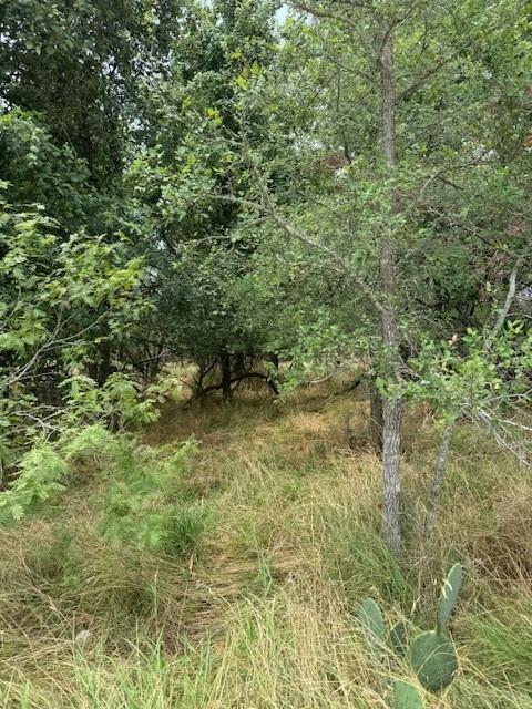 113 Keomuku, 6526451, Bastrop, Lot,  for sale, Dave Kapur, Full Circle Real Estate