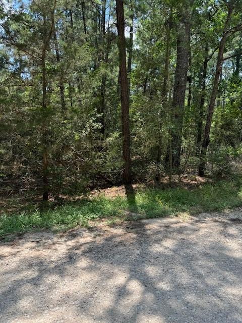 Lot 250 Hekili, 9429517, Bastrop, Lot,  for sale, Dave Kapur, Full Circle Real Estate