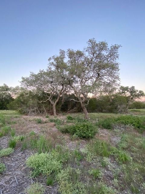 TBD County Road 252, 6569179, Bertram, Lot,  for sale, Dave Kapur, Full Circle Real Estate