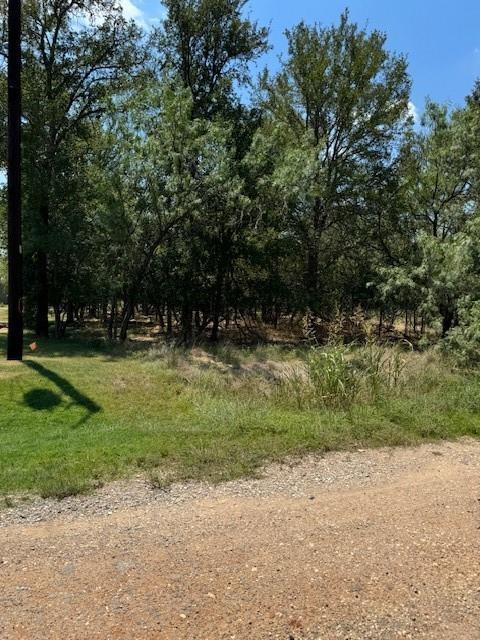 193 Mokulua, 1092786, Bastrop, Lot,  for sale, Dave Kapur, Full Circle Real Estate