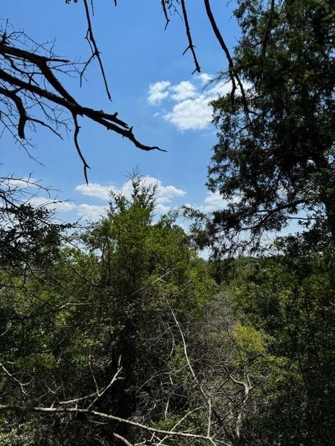 157 Lamaloa, 2251653, Bastrop, Multiple Lots (Adjacent),  for sale, Dave Kapur, Full Circle Real Estate