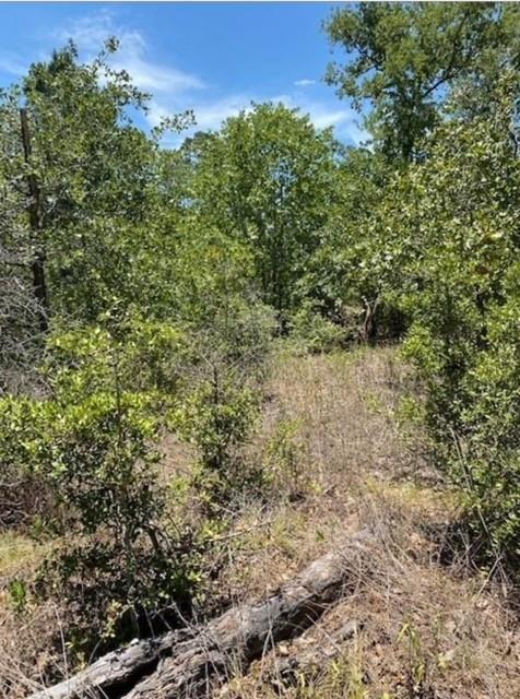 Koali, 8872136, Bastrop, Multiple Lots (Adjacent),  for sale, Dave Kapur, Full Circle Real Estate