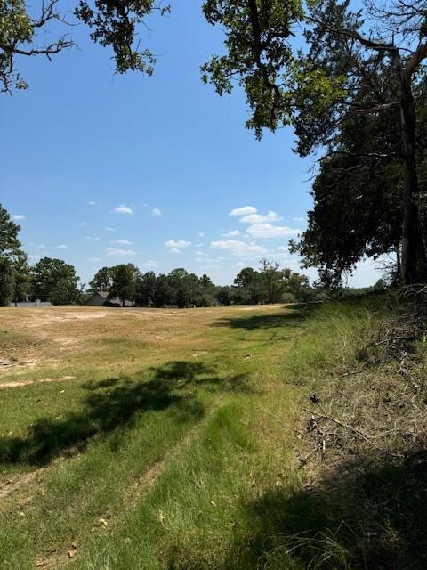 Lot 1280 Kaupo, 9455001, Bastrop, Lot,  for sale, Dave Kapur, Full Circle Real Estate