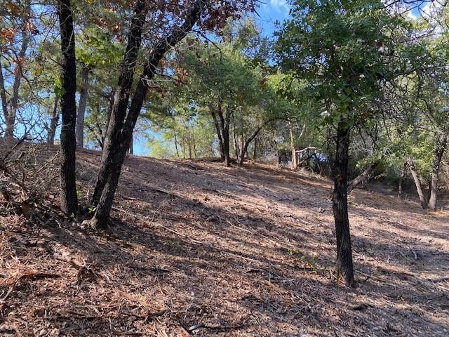 112 Post Oak Rim, 2627504, Bastrop, Lot,  for sale, Dave Kapur, Full Circle Real Estate