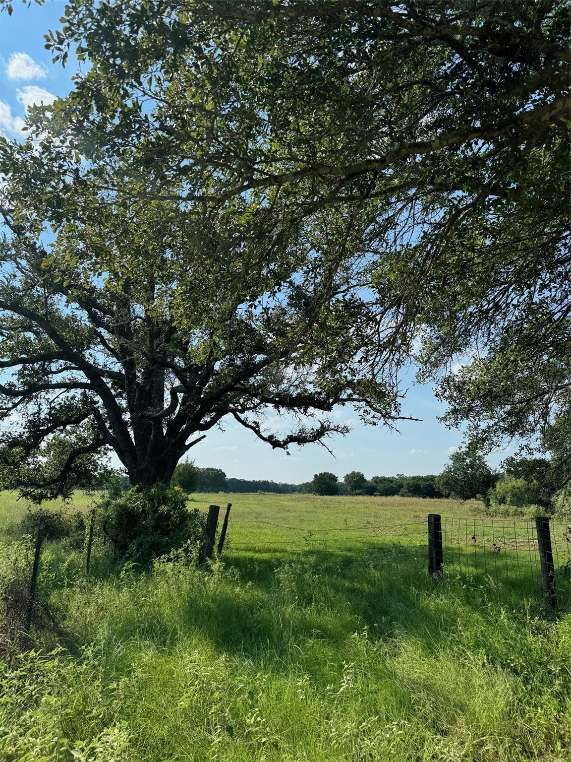 117 County Rd, 6184551, Giddings, Ranch,  for sale, Dave Kapur, Full Circle Real Estate