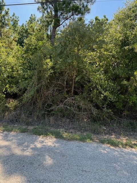 Lot 1355 Kaupo, 8519768, Bastrop, Lot,  for sale, Dave Kapur, Full Circle Real Estate