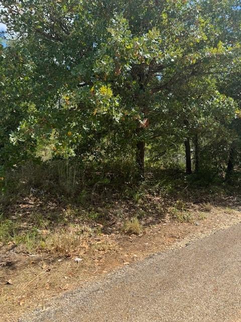 261 Flaming Oak, 4089684, Bastrop, Lot,  for sale, Dave Kapur, Full Circle Real Estate